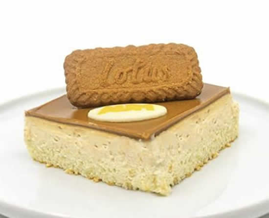 LOTUS KARDELEN